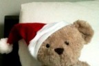 Misery Bear