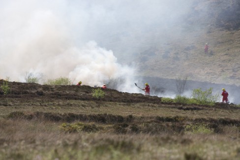 Fire fighters tackle a wild gorse fire on the north Monaghan border. Credit: Darren McCarra