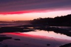 One particular competition entry from David Pascoe - Bournemouth, England