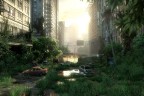 The Last of Us