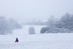 A Irish winter 2010/2011 scene. Credit: Darren McCarra/The Sociable
