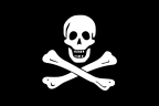 Jolly Roger Pirate Flag