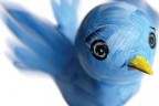 Twitter bird