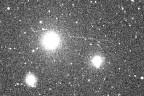 Asteroid 2012 BX34 over New Mexico on January 27, recorded by the Remanzacco Observatory in Italy