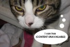 Lolcat against SOPA