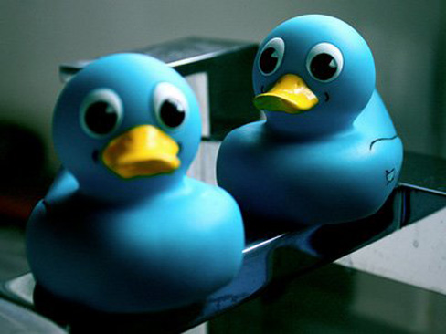 Twitter ducks