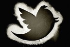 Twitter bird