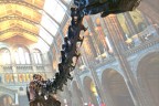 Dippy at NHM London