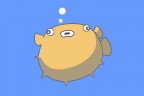 bitly