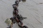 chains in sand