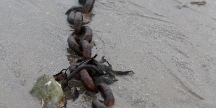 chains in sand