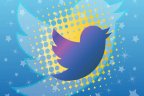 The Tweeties 2013