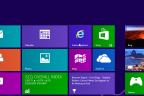 Internet Explorer on Windows 8
