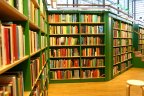 Library bookshelf
