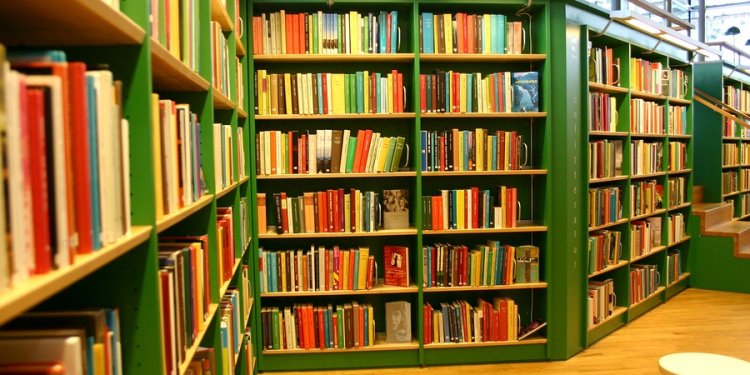 Library bookshelf