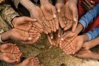 Google pilots One Today, a new app that makes charitable donations simple
