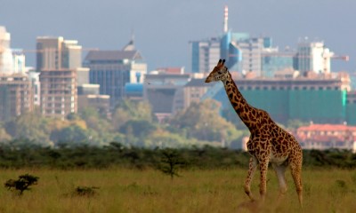 nairobi