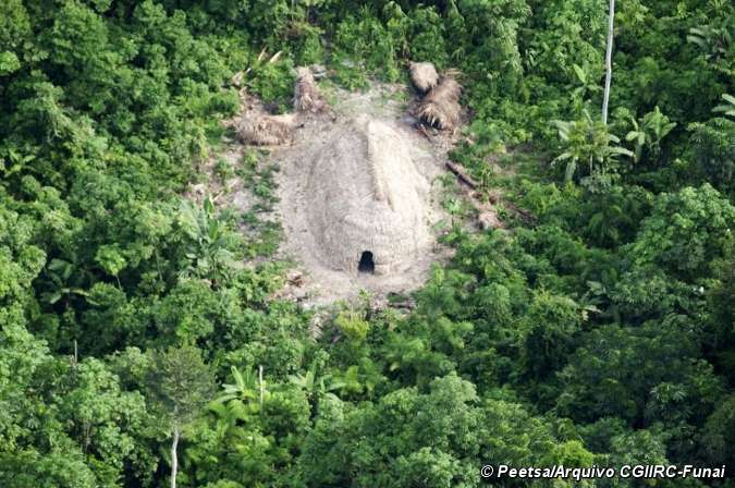 Uncontacted Indians' houses, Javari Valley, Brazil