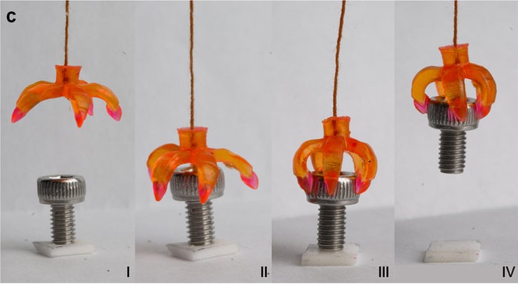 3d printing vs 4d printing