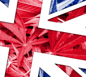 United Kingdom Flag on cannabis background. Drug policy. Legalization of marijuana