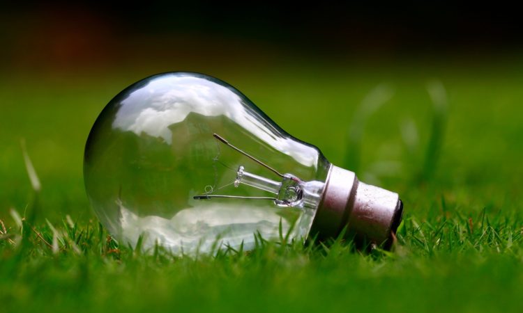 Light bulb on grass