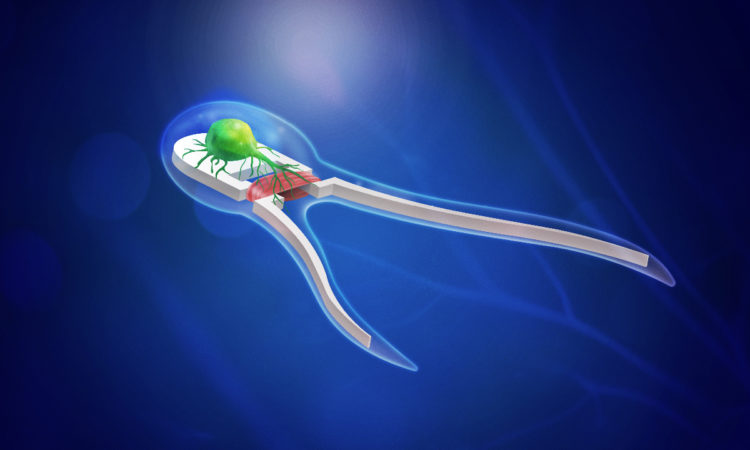 sperm-inspired biobot