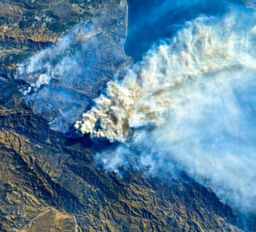 wildfires, california, disasters