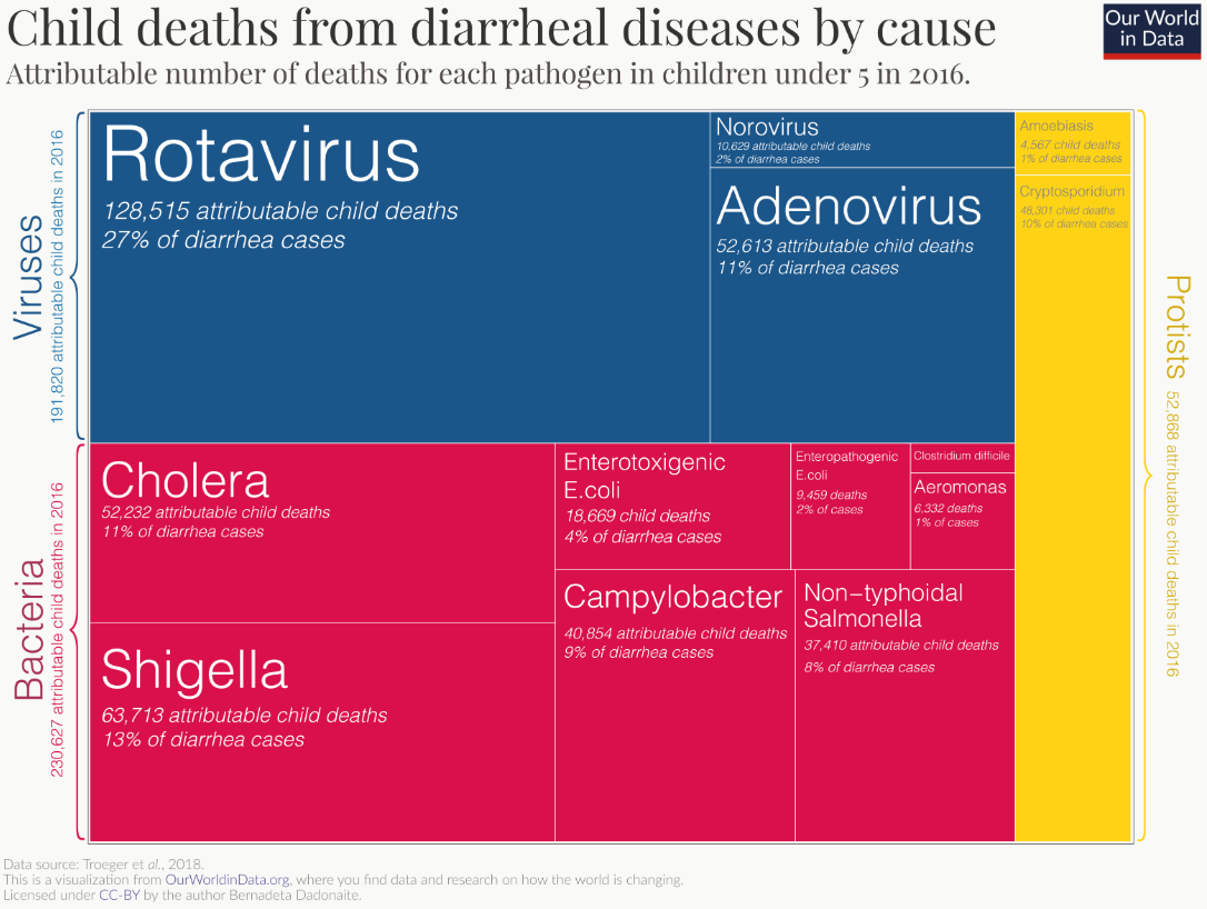 diarrhea bacteria child deaths