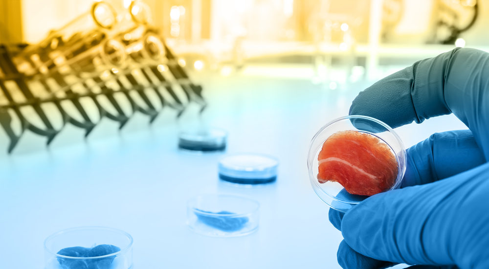 lab grown meat