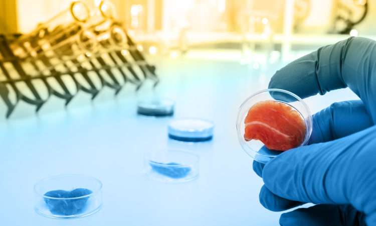Die erste industrielle Zuchtfleischanlage geht aus dem Biolabor hervor, das auch in die Entwicklung von Medikamenten und medizinischen Geräten innoviert